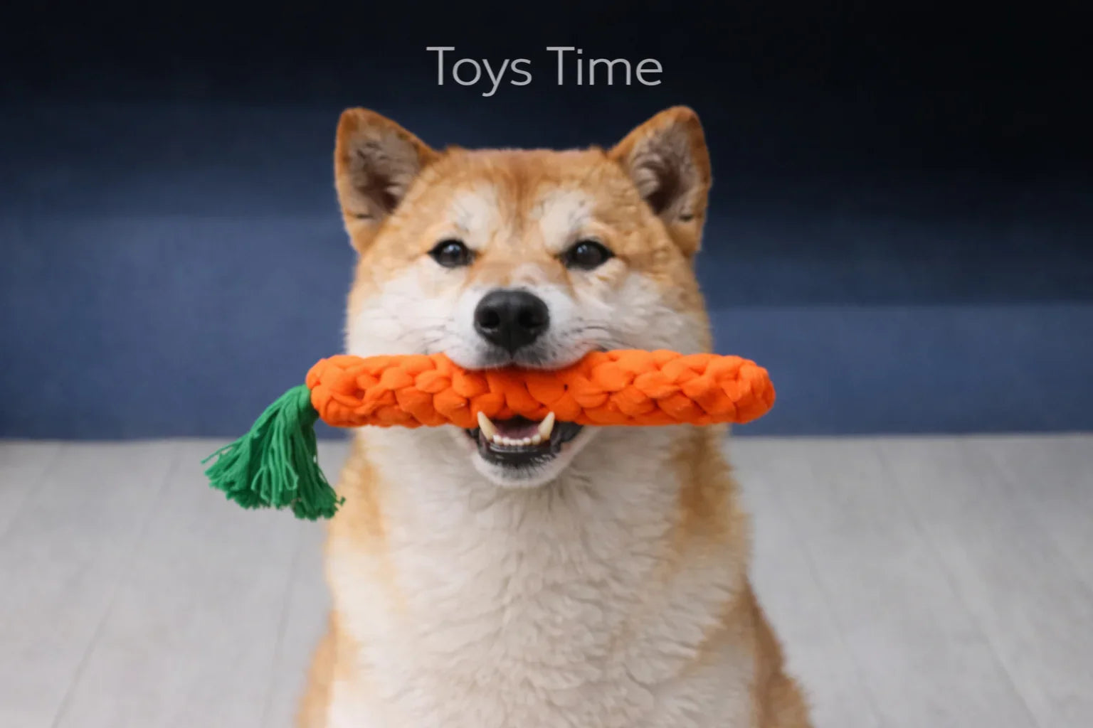 Toys Time