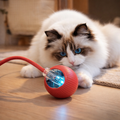 WhiskerRoll™ Silent Interactive Cat Ball