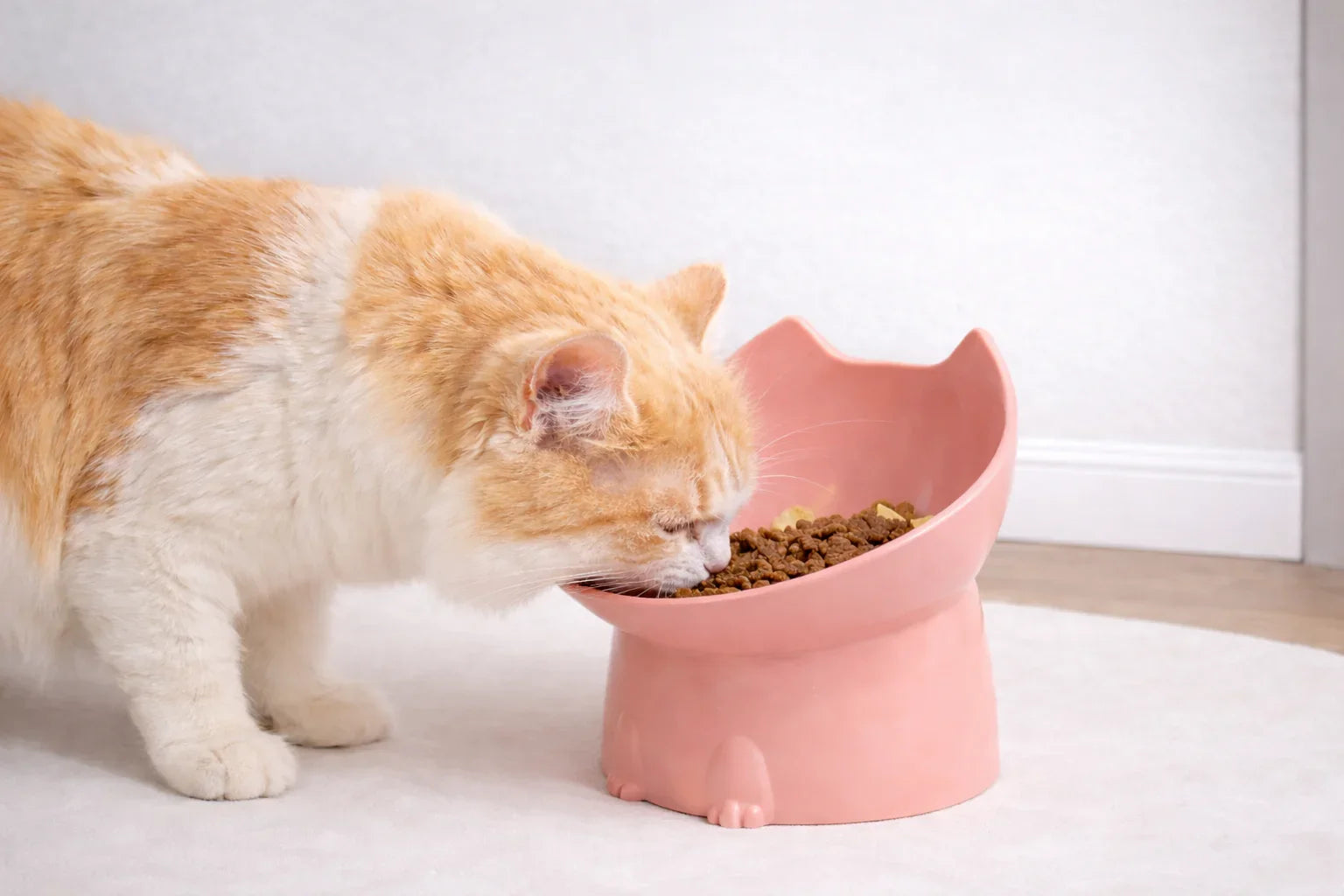 KittyRest™ Feeding Bowl