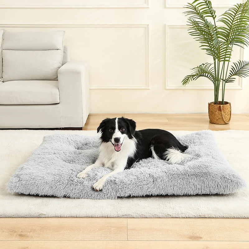 SoftCloud™ Plush Comfort Dog Mat