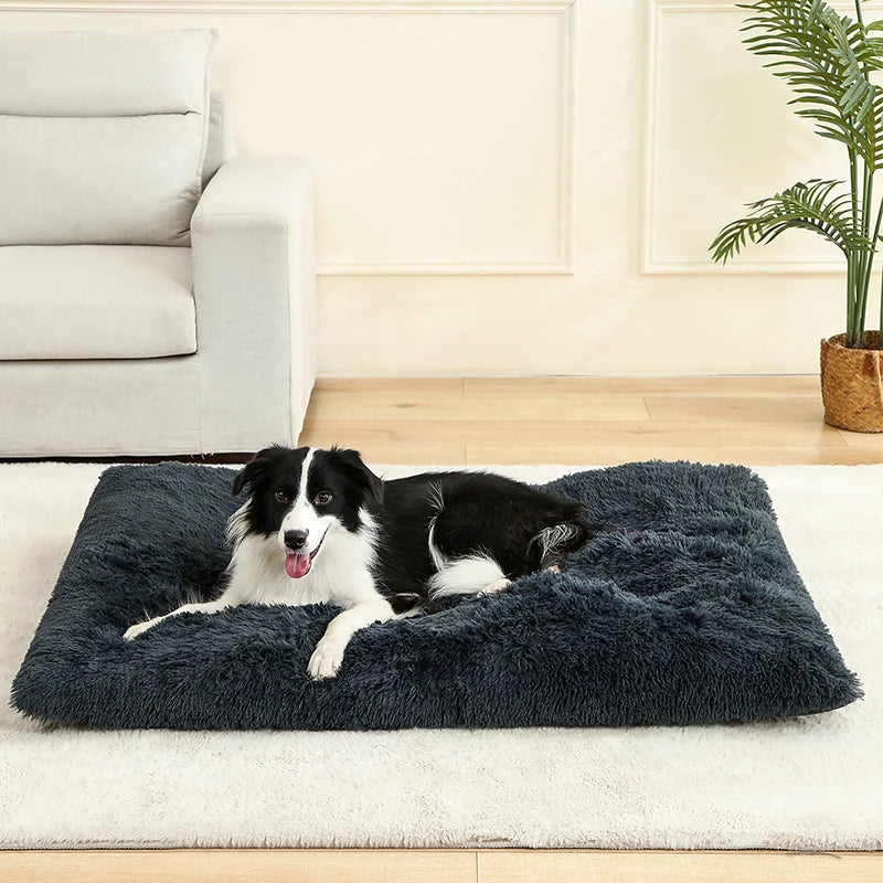 SoftCloud™ Plush Comfort Dog Mat