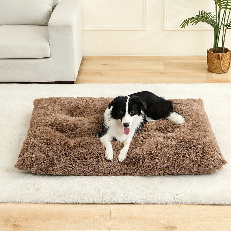 SoftCloud™ Plush Comfort Dog Mat