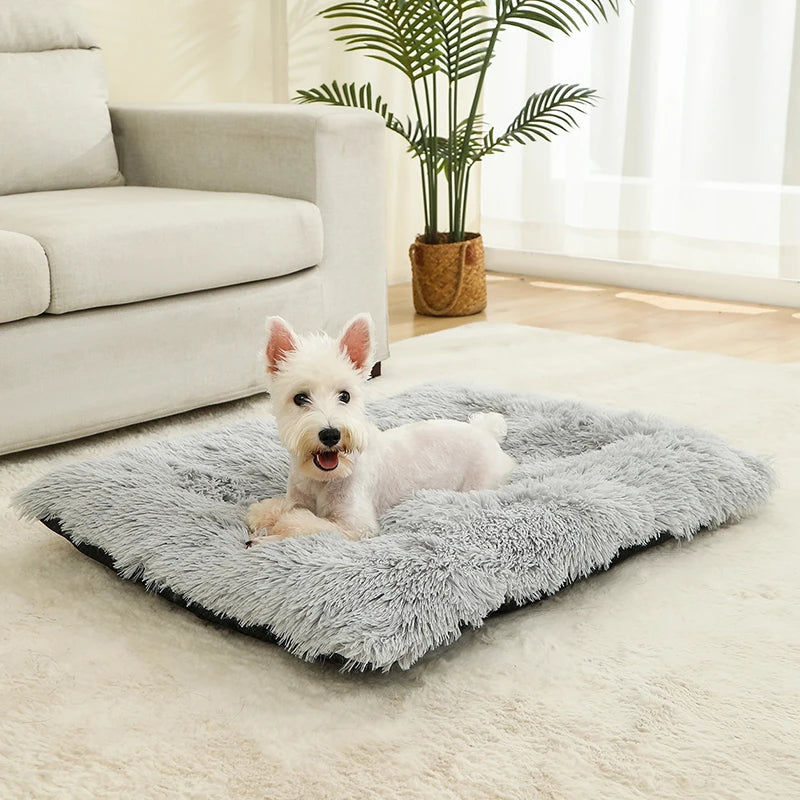 SoftCloud™ Plush Comfort Dog Mat