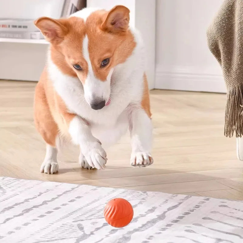 ActiveRoll™ Smart Interactive Dog Ball