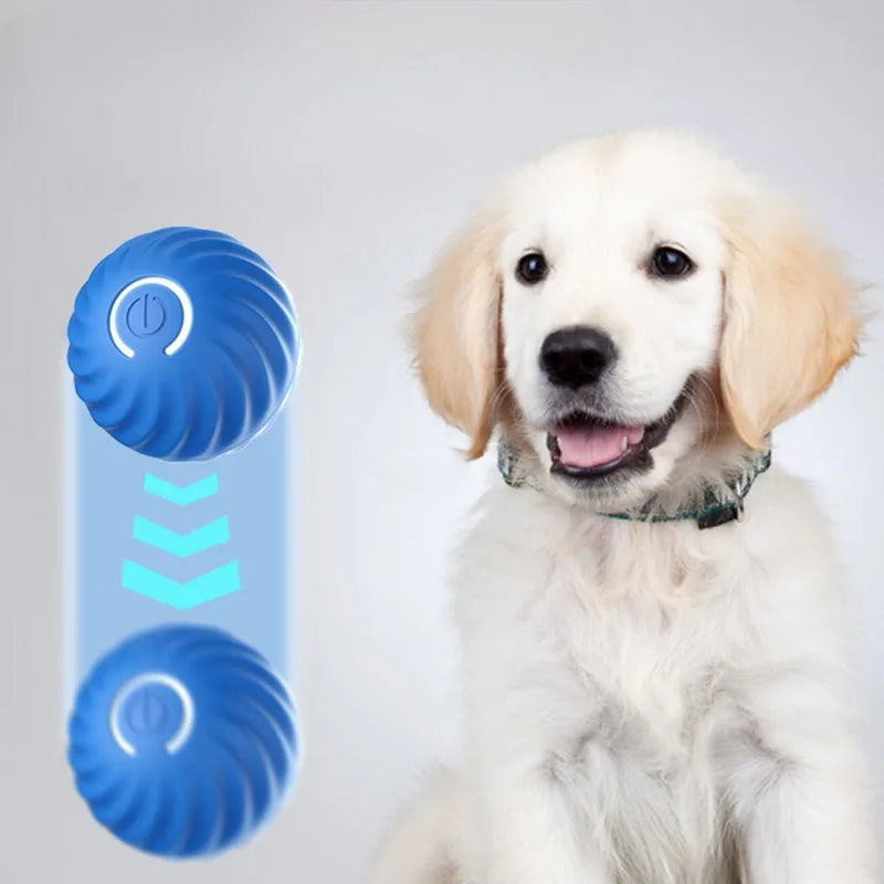 ActiveRoll™ Smart Interactive Dog Ball