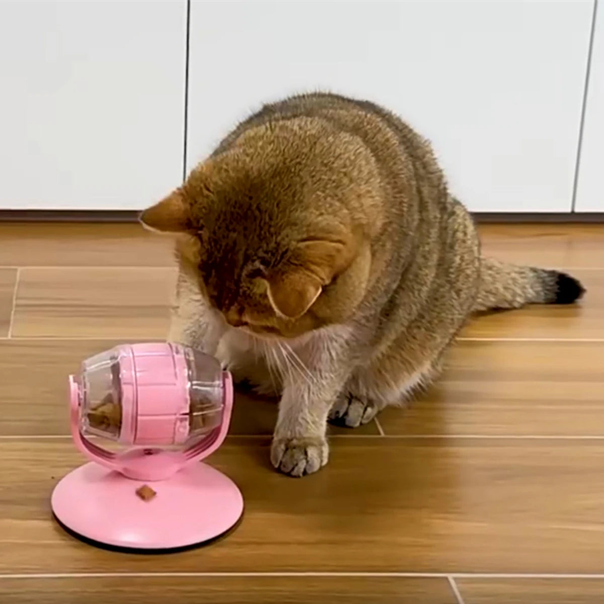 SpinTreat™ Interactive Feeder Toy