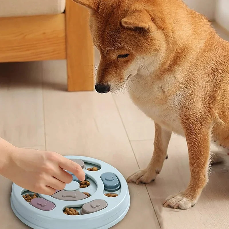Pawny™ ThinkMate Interactive Puzzle Dog Feeder