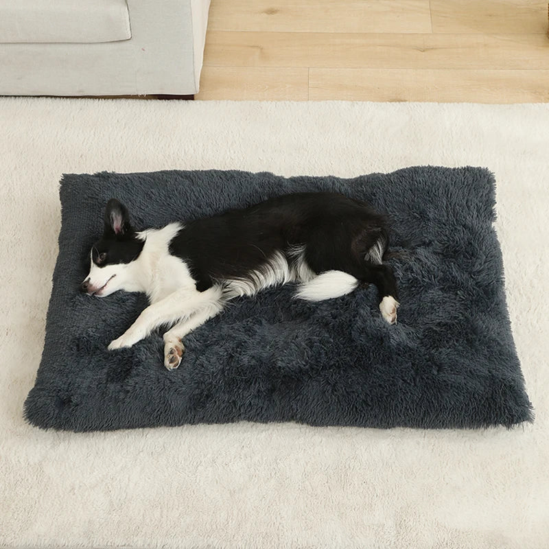 SoftCloud™ Plush Comfort Dog Mat
